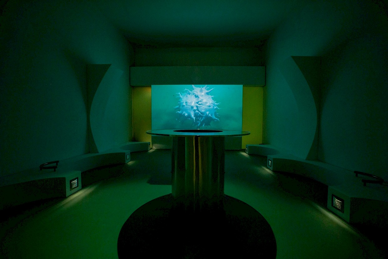 Installation